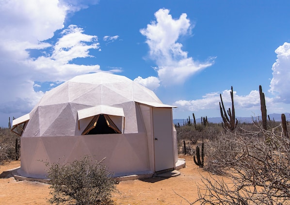 A geodesic dome structure in a desert environment with cacti and sparse vegetation.