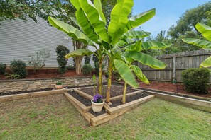 Botón de imagen sin clasificar, 4 de 19