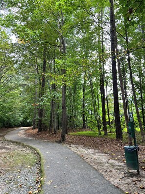 Botón de imagen sin clasificar, 2 de 19