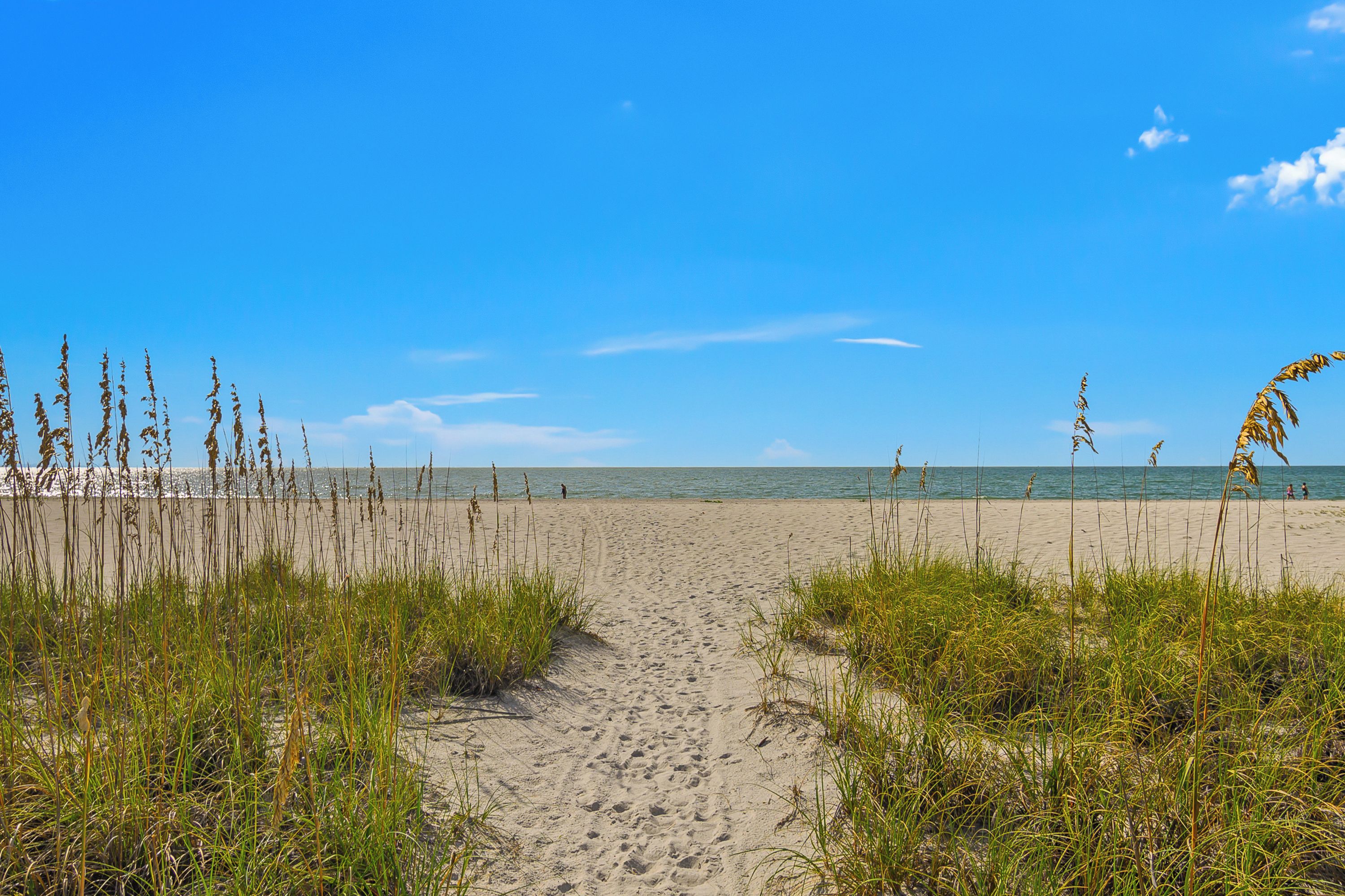 Un sentier de sable qui longe la plage et mène à l’océan, avec de hautes herbes de chaque côté.