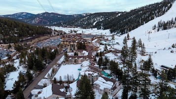 Apartment (1 Bedroom) | Interior