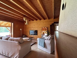 TV connectée, jeux vidéo, livres