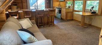 Luxury Bear Loft Studio