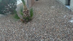 A residential area with a gravel driveway, a palm tree, and a building with a textured facade. - Bri’s Place Cozy 2BR Home Near Nellis AFB & Speedway (Las Vegas)