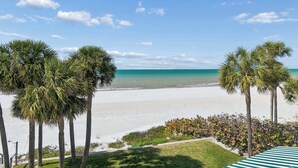 A beach view with palm trees and a clear sky. - Beachfront Bliss - Outdoor Pool - Sleeps 6 (Belleair Beach)