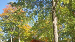 Une cabane avec une terrasse, un petit porche et un grand arbre à l’avant.
