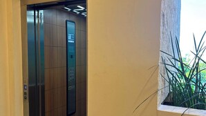Hissi, jossa on ohjauspaneeli, laatoitettu lattia ja ruukussa oleva kasvi.
