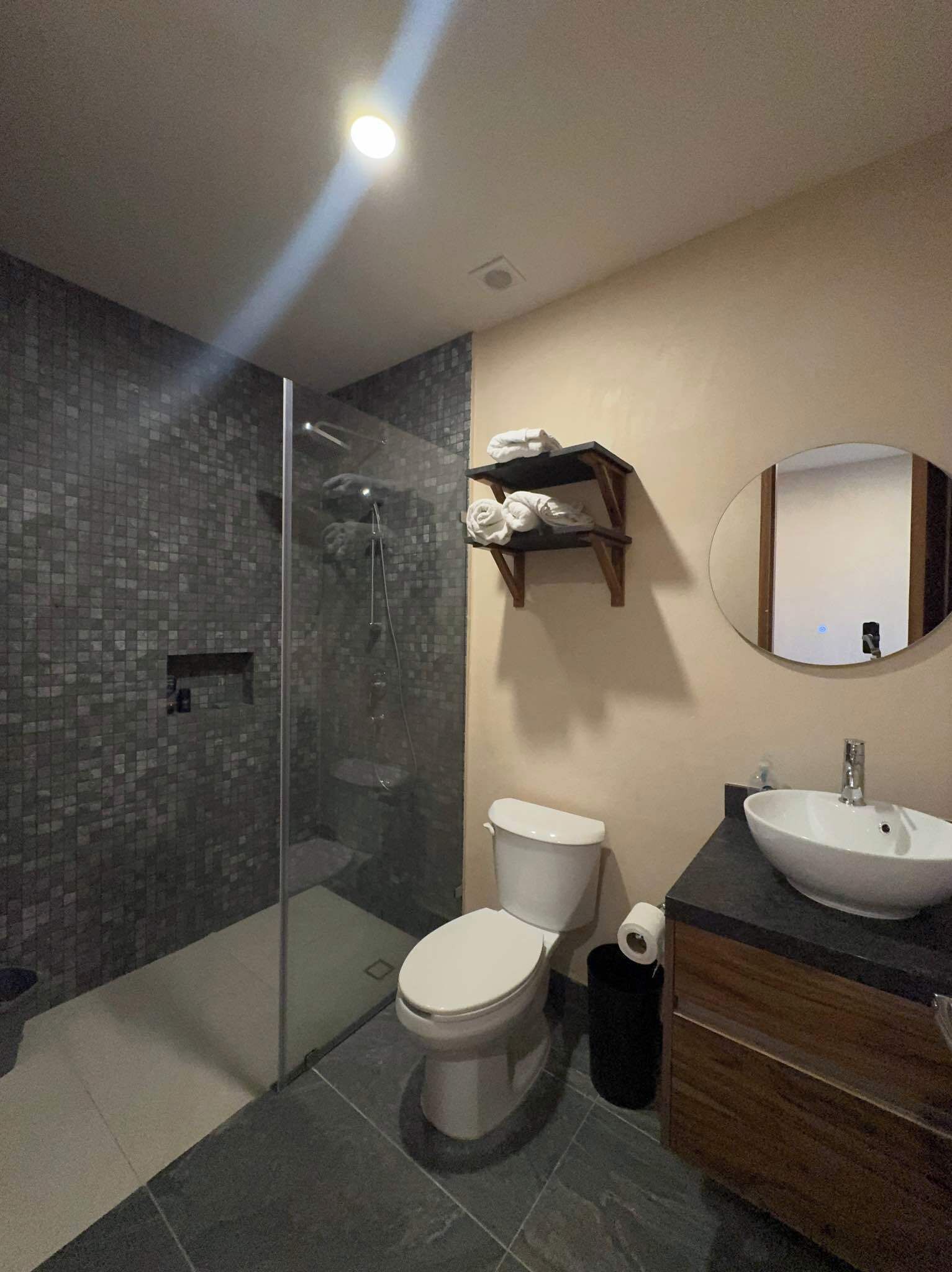 Hair dryer, towels, soap, toilet paper