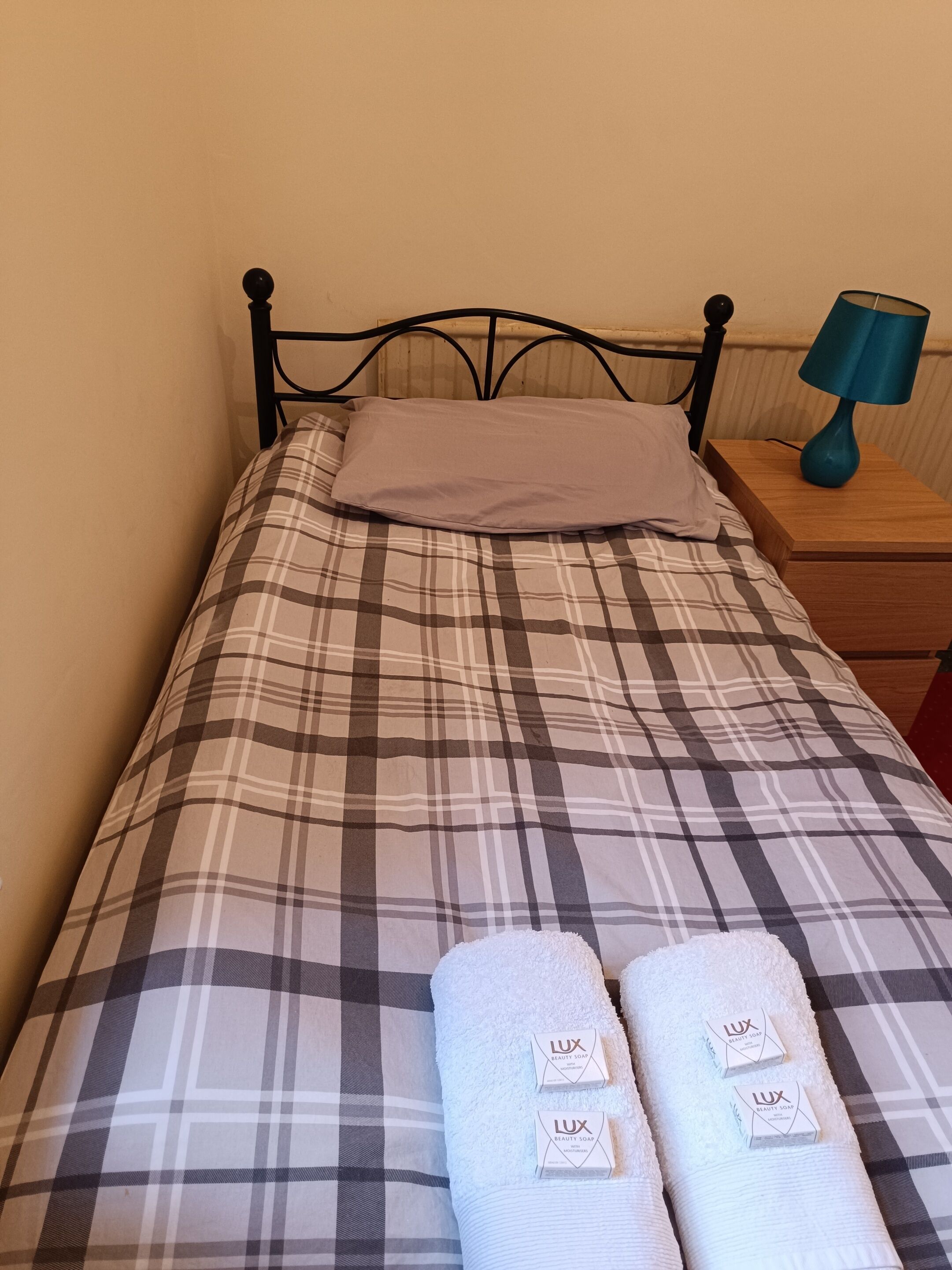 Single Room, Private Bathroom (clean and cosy room) | Iron/ironing board, free WiFi