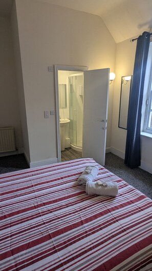 Double Room, Private Bathroom, Park View | Iron/ironing board, free WiFi - BRISTOL HOTEL (Bristol)