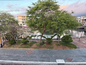 A view of a landscaped area with a tree, a body of water, and a building in the background. - ARENA DORADA (Puerto Baquerizo Moreno)