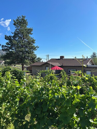 Ciao Bella Winery Cozy Farmhouse Agritourism Escape