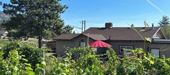 Ciao Bella Winery Cozy Farmhouse Agritourism Escape