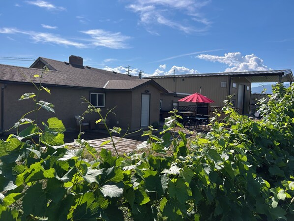 Imagen sin descripción, 1 de 12, botón