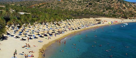 Studio | 1 bedroom, Internet