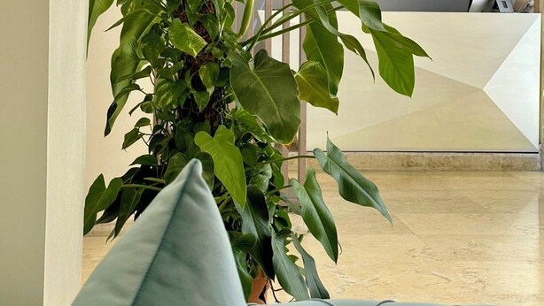 A reception area with a potted plant, a blue sofa, and a digital display with the text "Accueil" in the background. - Star Inn Hotel Aeroport (Algiers)