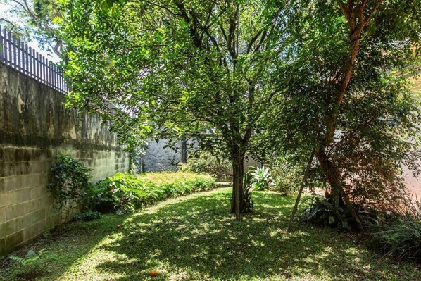 A garden with a tree, grass, and a stone wall.