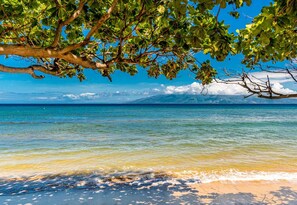 Beach - Oceanview 2BD/2BA Kaanapali Shores 304 - Beachfront resort w/AC (Lahaina)