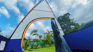 Una tienda en forma de cúpula con vistas despejadas a una zona cubierta de pasto y palmeras al fondo.