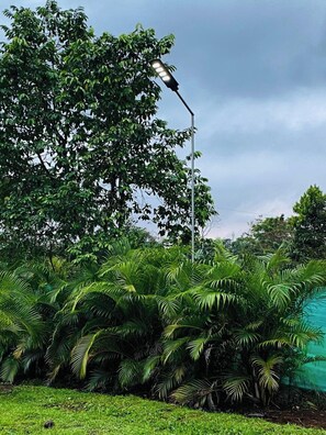 Bathroom - Arenal Camping (Calle Rojas)