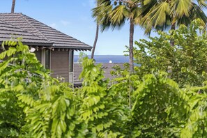 Property grounds - Grand Champions Villas in Wailea, Maui (Kihei)