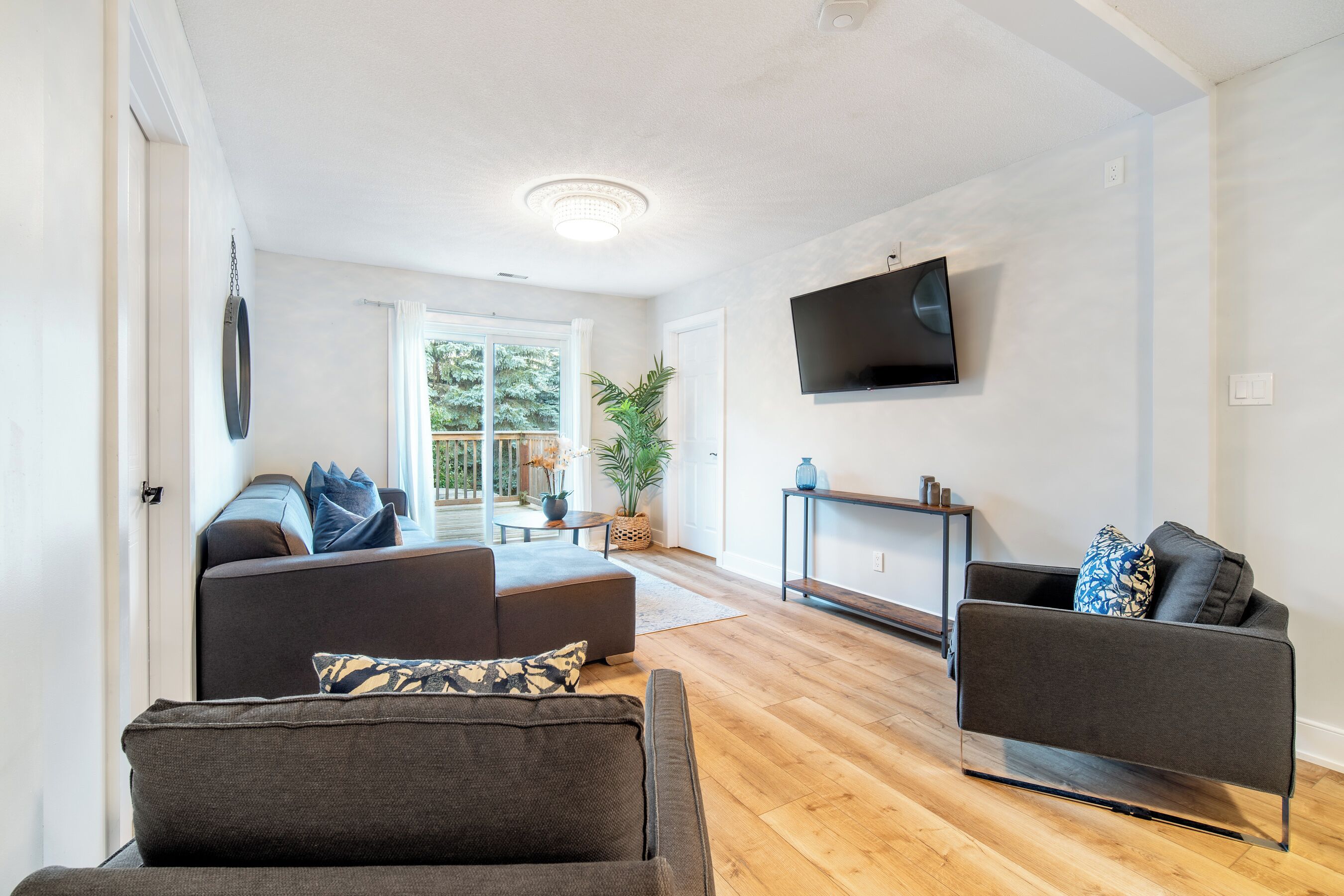 Televisión y chimenea 