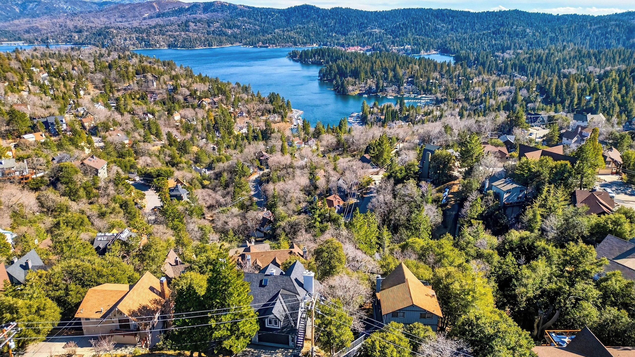 A residential area with houses surrounded by dense forest and a large lake.