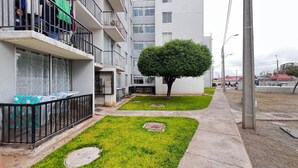 Un edificio residenziale con balconi, un piccolo albero e un vialetto.
