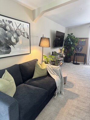 Smart TV, fireplace, books, stereo