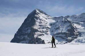 Unclassified image, 5 of 55, button - Hotel Bellevue Wengen (Lauterbrunnen)