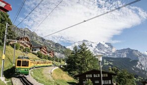 Ảnh chưa phân loại, 2 trong số 55 ảnh, nút