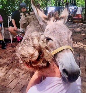 Photo non classée, 4 sur 12, bouton