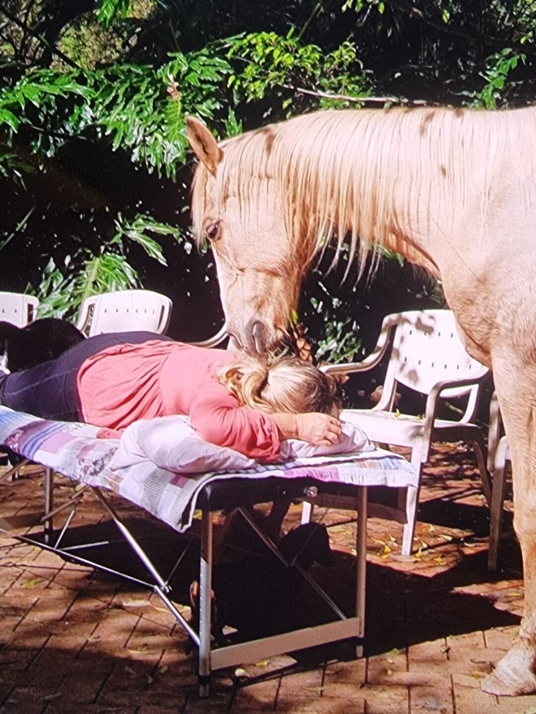 A person lying on a bed outdoors with a horse nearby.