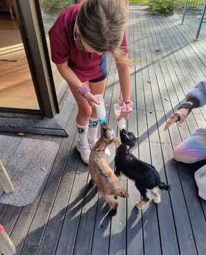 Photo non classée, 5 sur 12, bouton