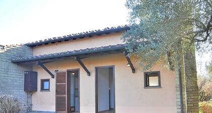 Montecasciano Glicine