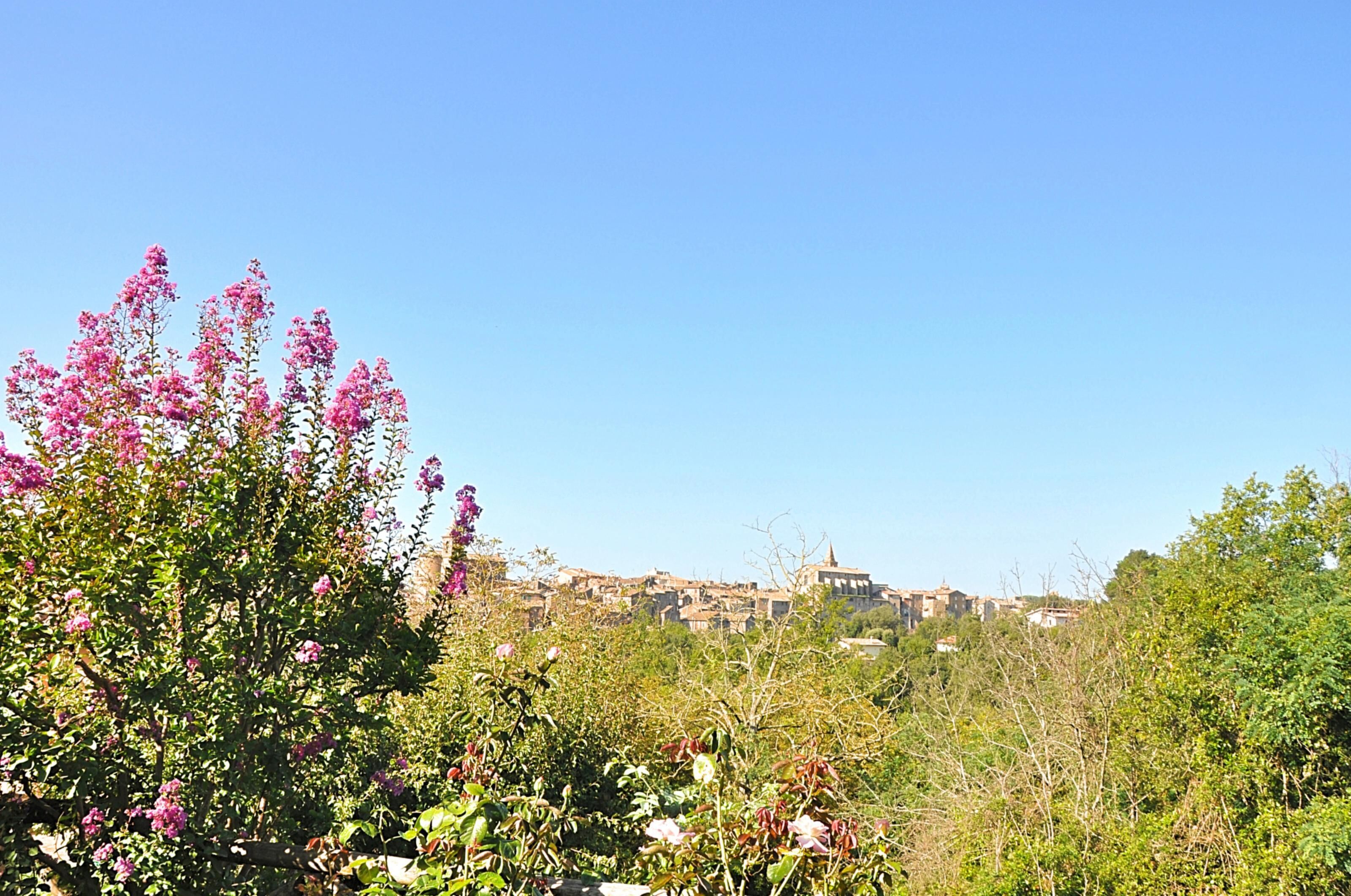 Une ville avec des bâtiments en arrière-plan, entourée de verdure et de plantes en fleurs.