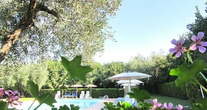 Montecasciano Tulipano