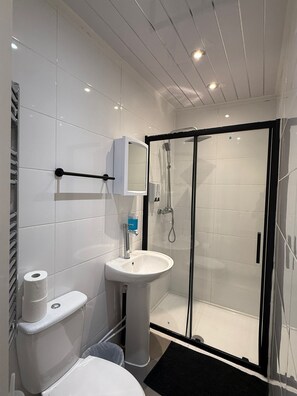 Shower, hair dryer, towels, toilet paper