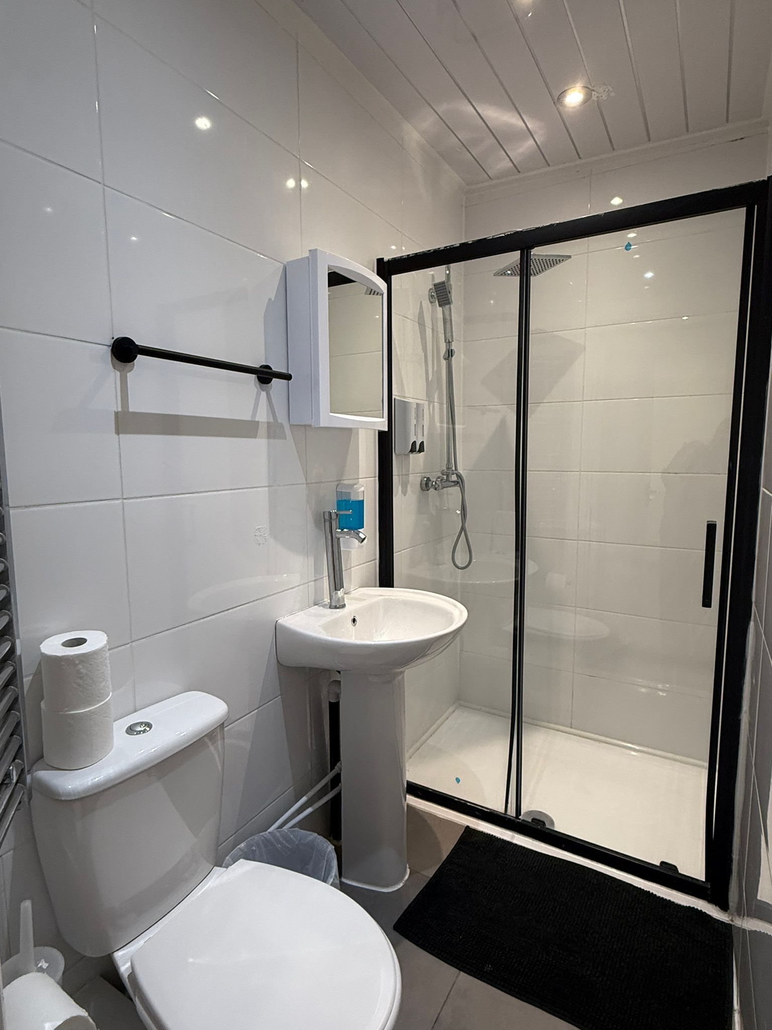 Shower, hair dryer, towels, toilet paper