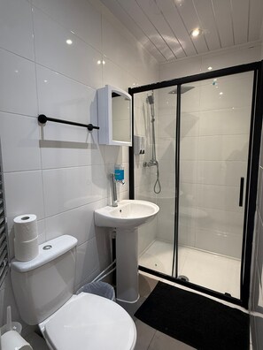 Shower, hair dryer, towels, toilet paper