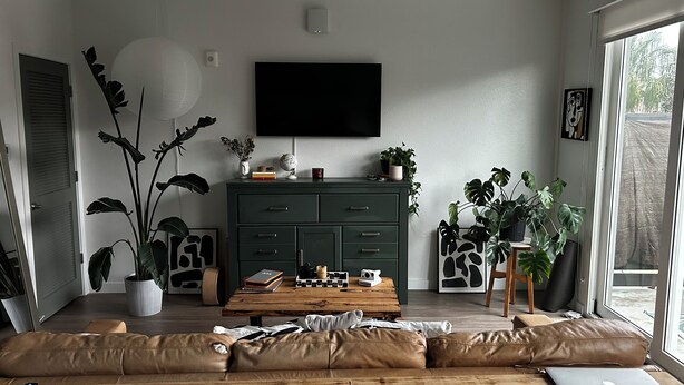 A living room with a sofa, a coffee table, a TV, a cabinet, and various plants. - Cozy studio apartment in charming St. Petersburg perfect for your getaway. (St. Petersburg)