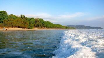 Beach nearby, white sand