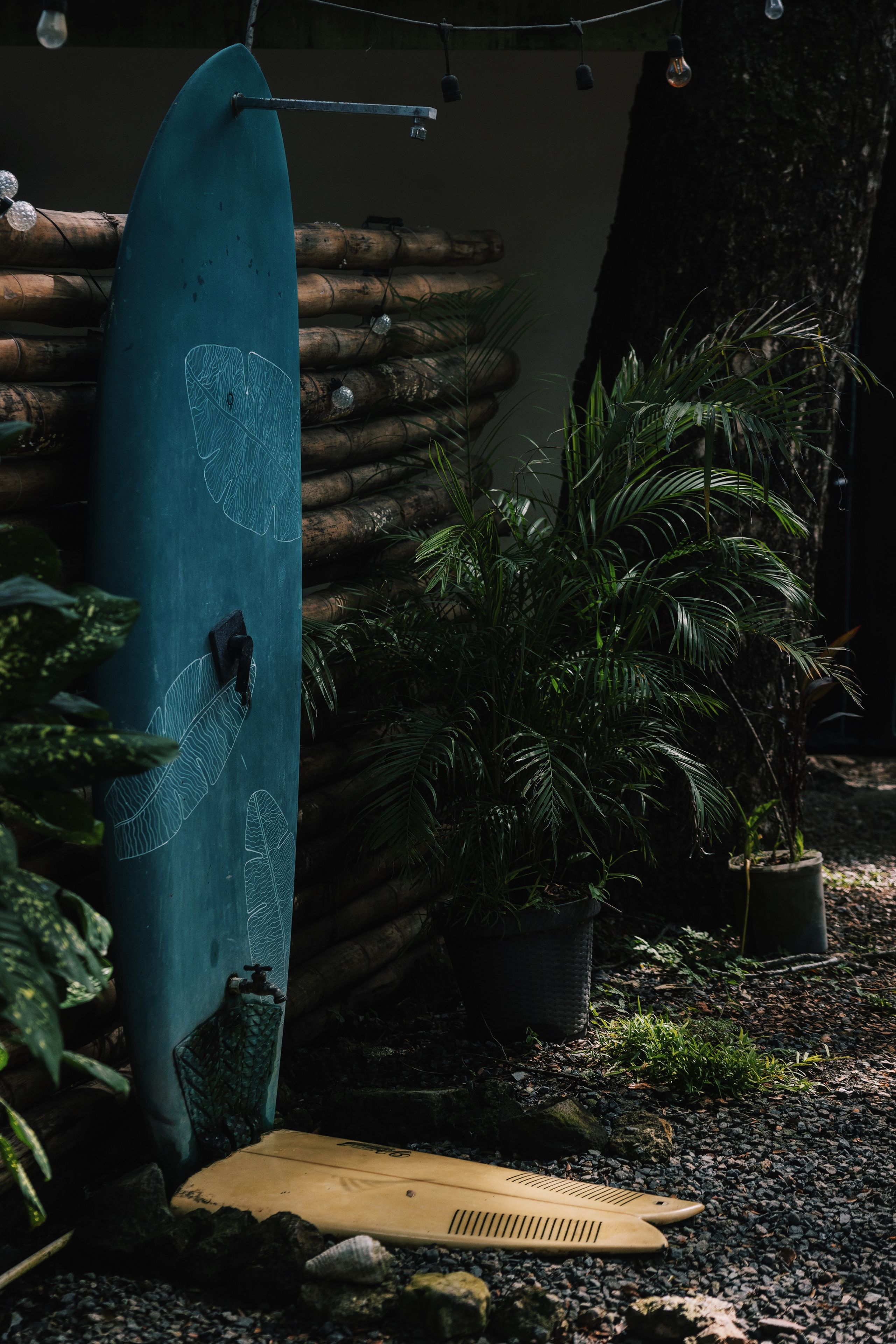 Una tabla de surf apoyada en una pared, rodeada de plantas y un objeto de madera sobre un suelo de grava.