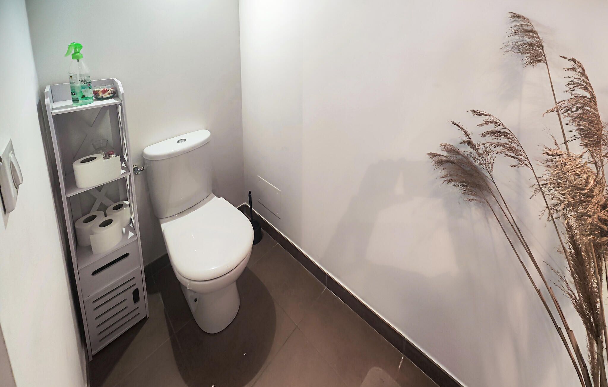 Un baño pequeño con un inodoro, una repisa con artículos de aseo y una planta decorativa.