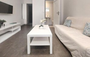 TV - 1 bedroom awesome apartment in BERCK (BERCK)