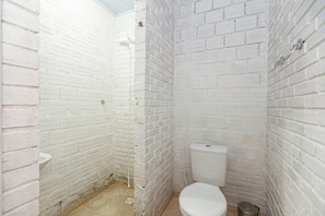 Shower, towels, toilet paper