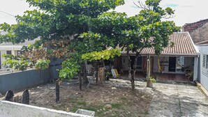 A courtyard with a large tree, a fenced area, and a building with a tiled roof.