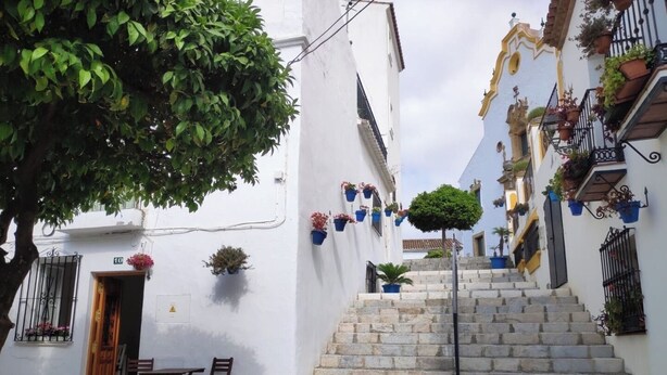Una calle estrecha con edificios blancos, escalones de piedra y plantas en macetas.
