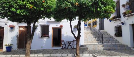 Une cour dallée de pierres, deux arbres aux fruits oranges, un banc et un escalier menant à un bâtiment à la façade blanche et aux volets noirs.