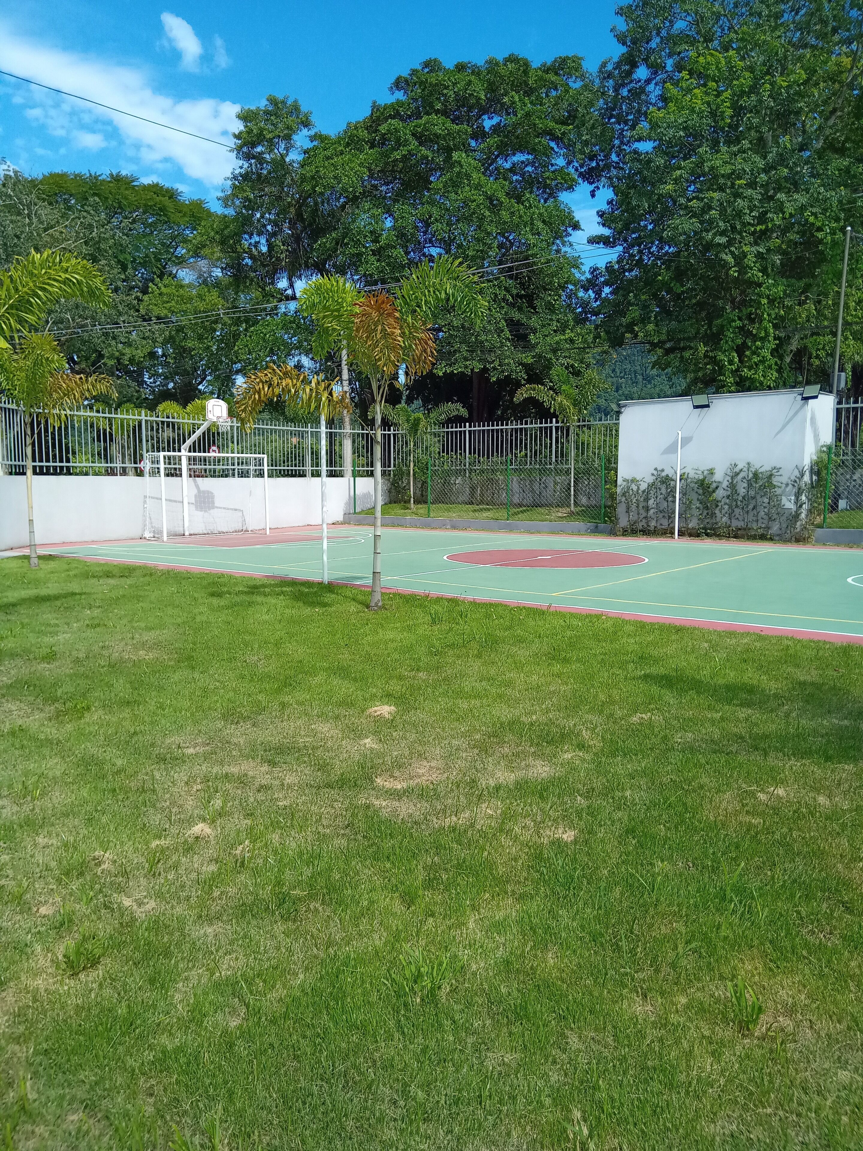 A basketball court with a white fence, green grass, and trees in the background.